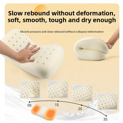 Memory Foam Camp Pillow